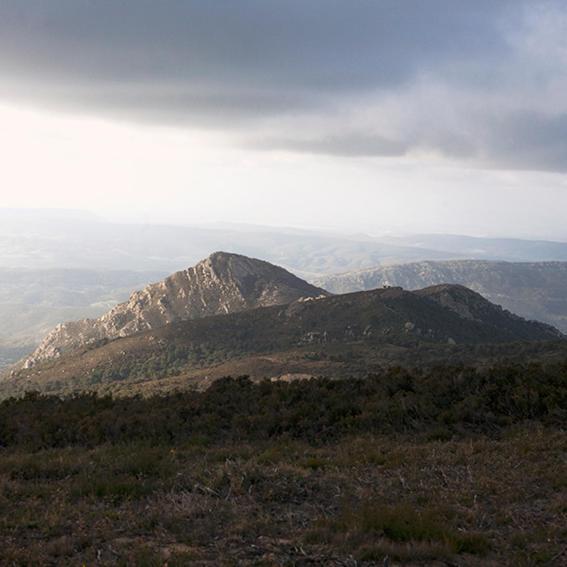 Vila Ruralcamomo Cádiz Exteriér fotografie