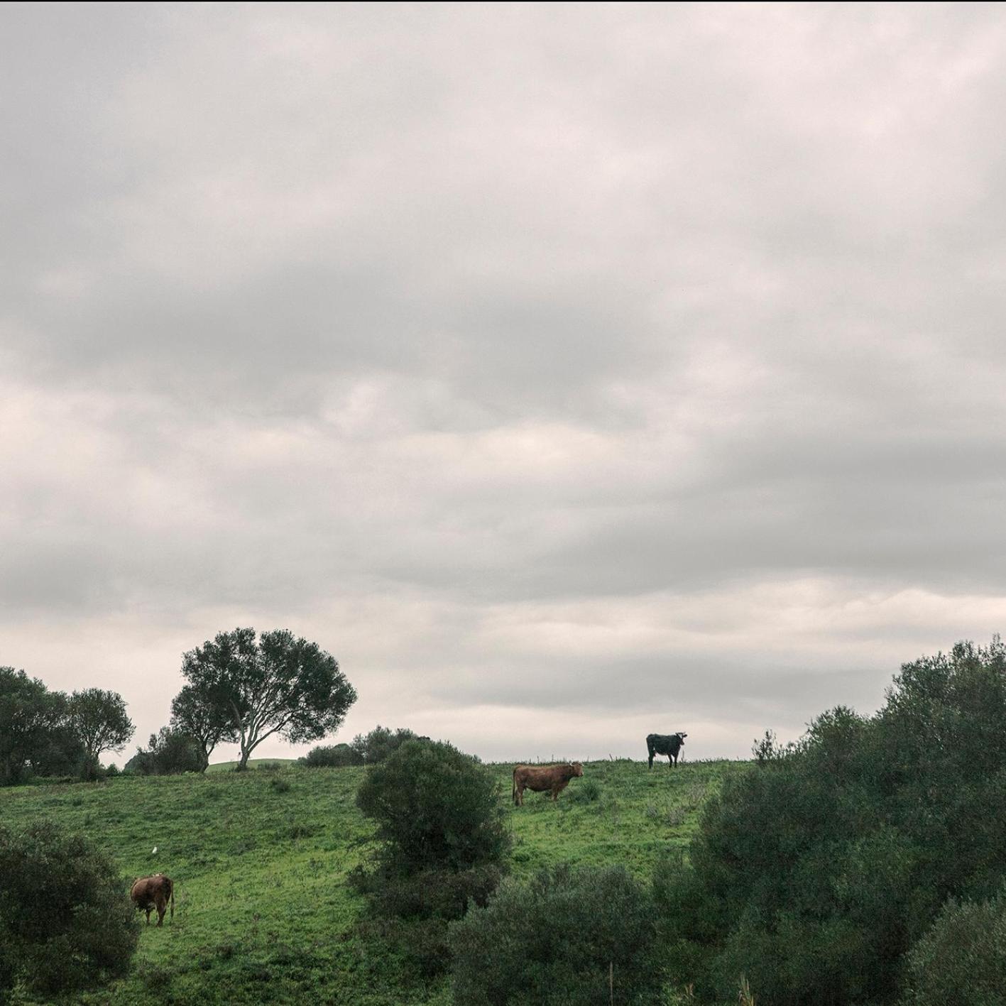Vila Ruralcamomo Cádiz Exteriér fotografie