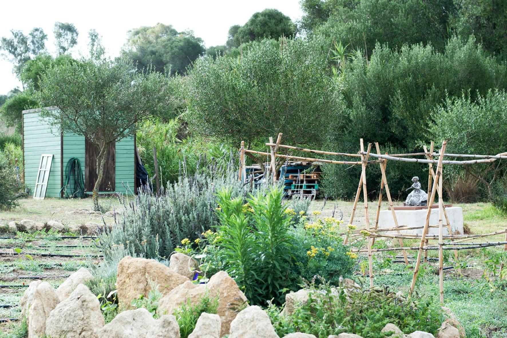 Vila Ruralcamomo Cádiz Exteriér fotografie