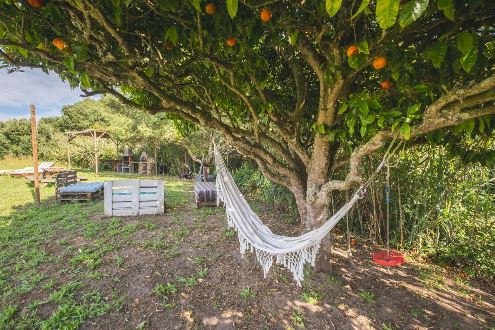 Vila Ruralcamomo Cádiz Exteriér fotografie