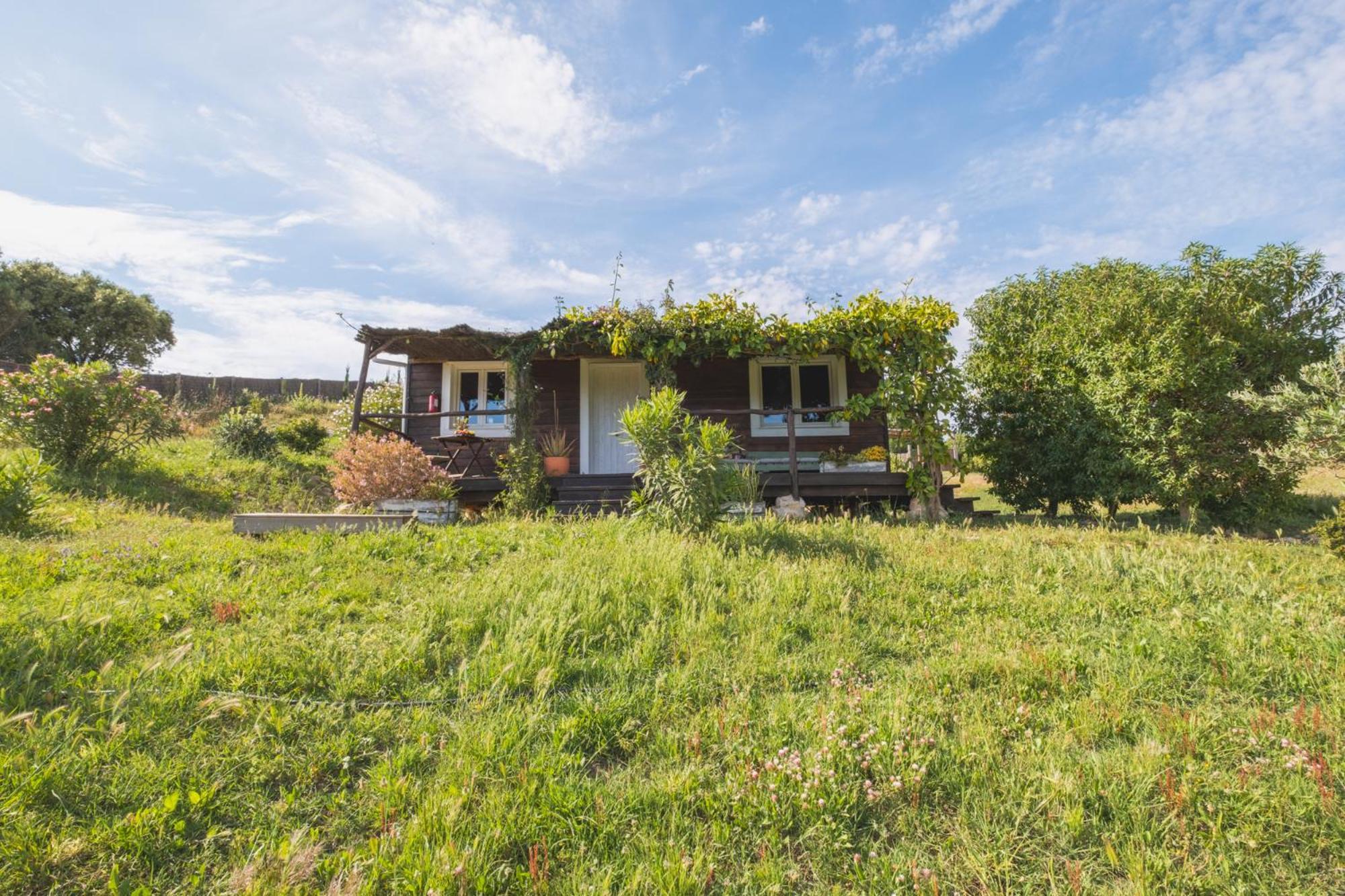 Vila Ruralcamomo Cádiz Exteriér fotografie
