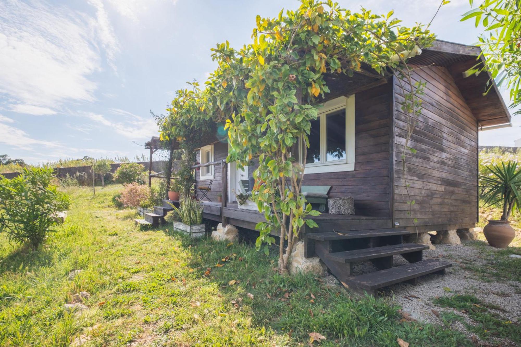 Vila Ruralcamomo Cádiz Exteriér fotografie